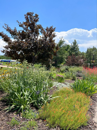 Relaxing view at Denver Botanic Gardens Chatfield Farms