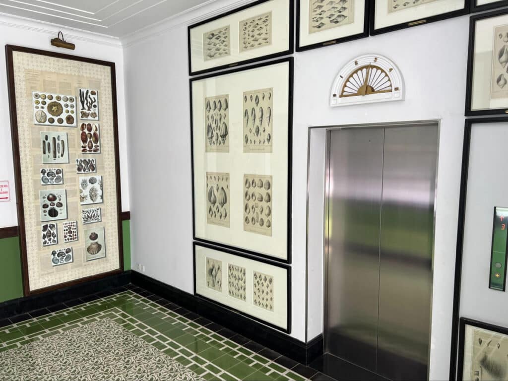 View of the elevator at the Department of Conchology