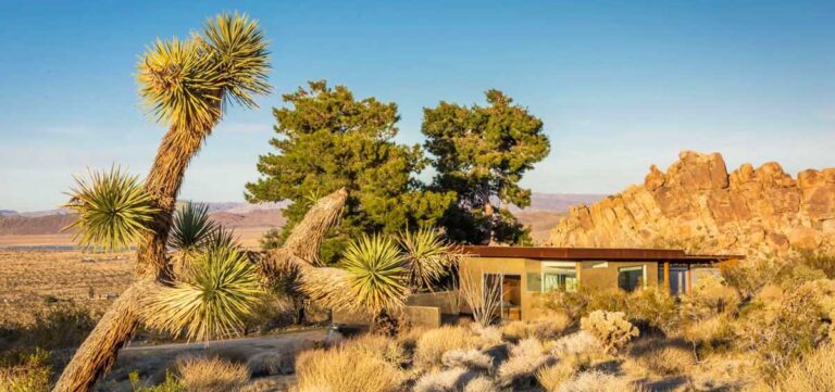 A luxurious desert house in the middle of Joshua Tree