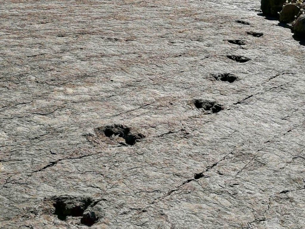 The Dino Footprints in Sucre