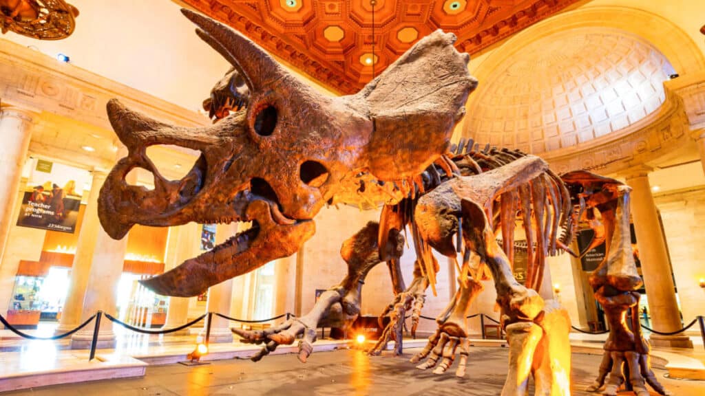 A skeleton of a Dinosaur at the Natural History Museum of Los Angeles County