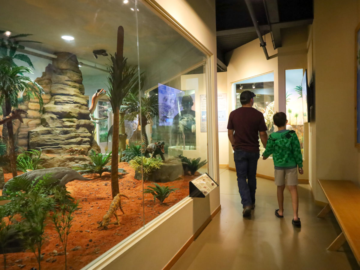 A father and son walking through the Dinosaur Store & Museum in Cocoa Beach