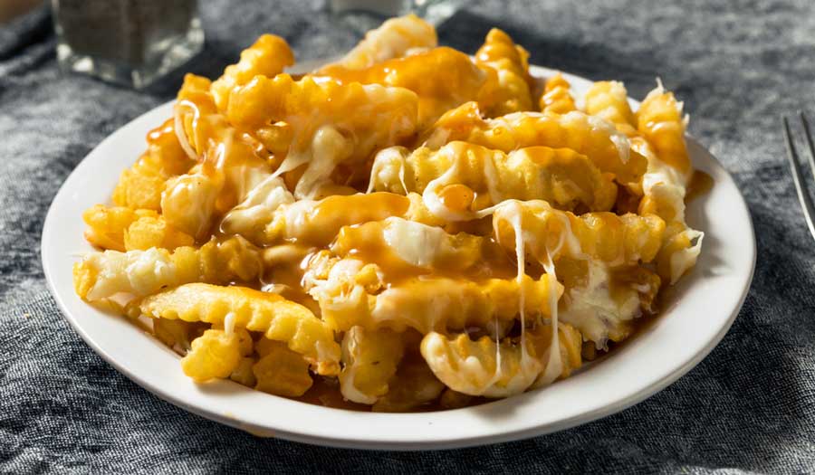 New Jersey Disco Fries with gravy and mozzarella cheese