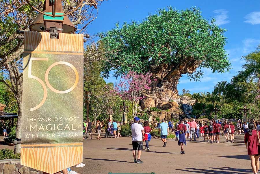 People wandering in Discovery Island