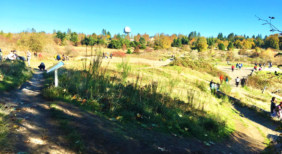 View of people in Discovery Park during a hot sunny day