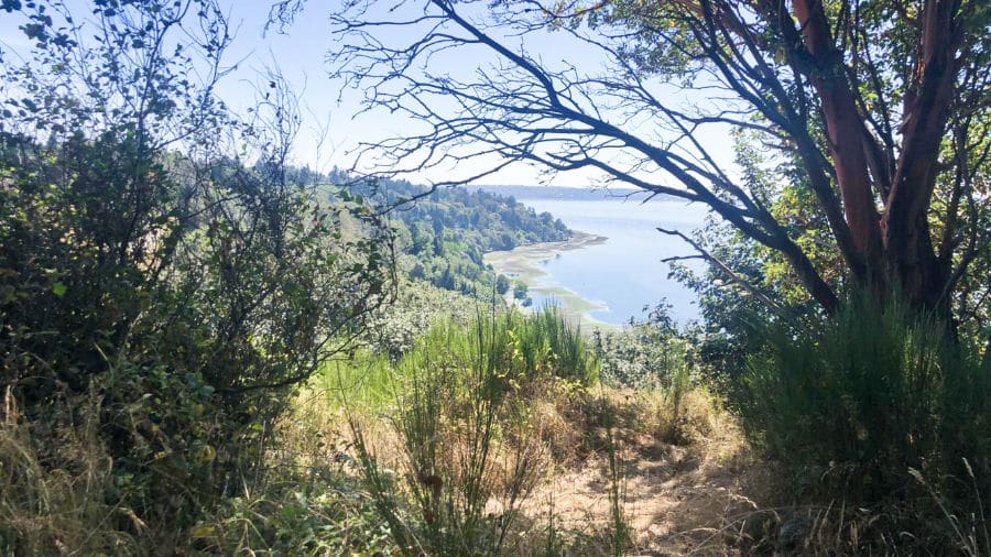 A peek at the Puget Sound from the Discovery Park trail.