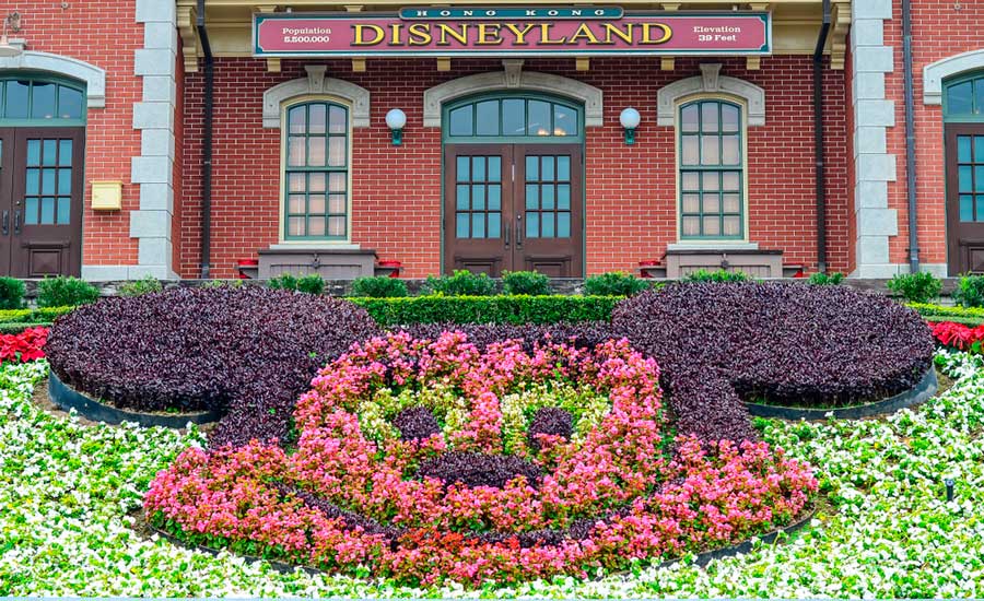 Floral Mickey Mouse at the entrance of Disneyland