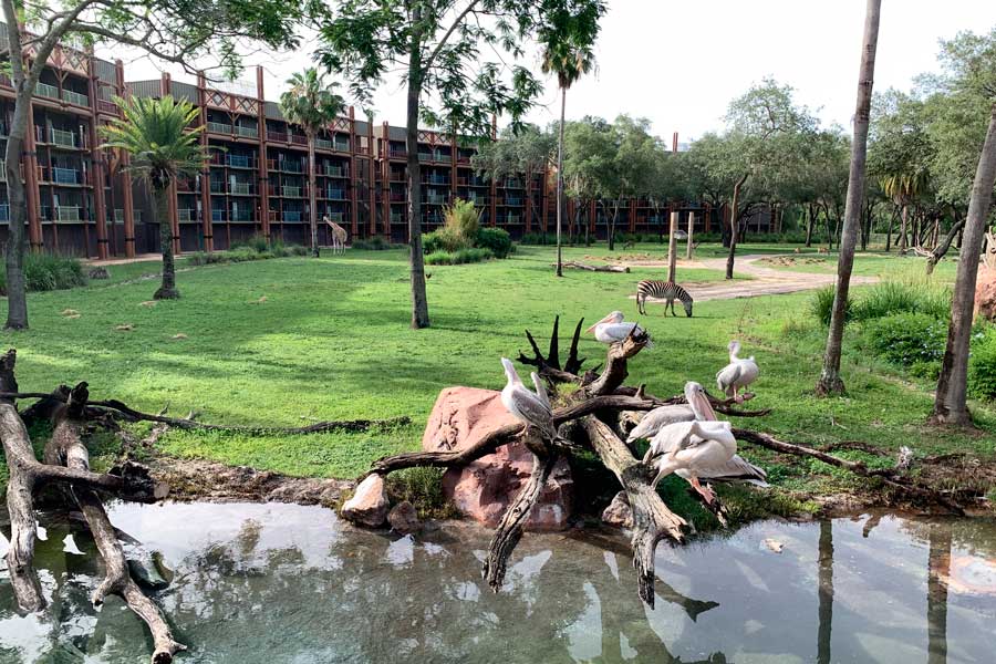 View in front of the Disney’s Animal Kingdom Lodge