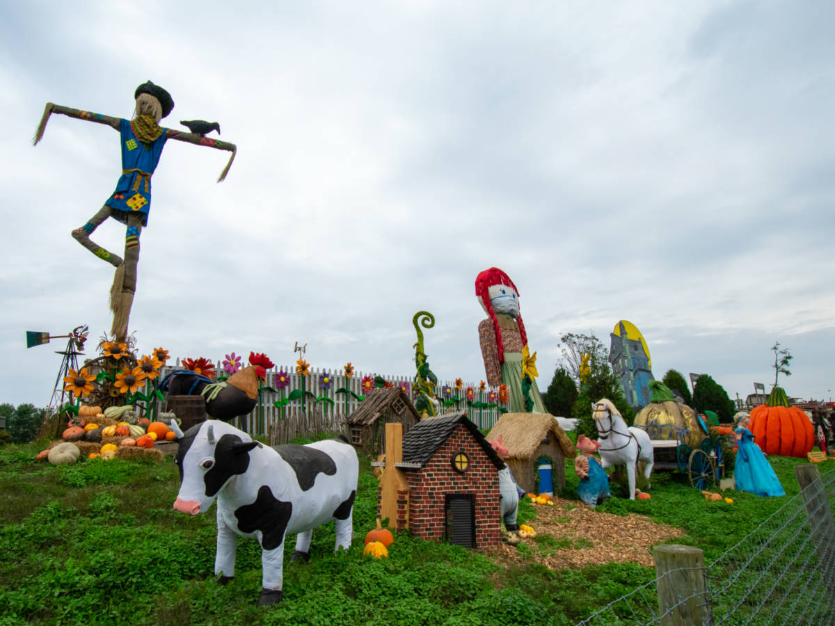 View of the fall display at Linvilla Orchards