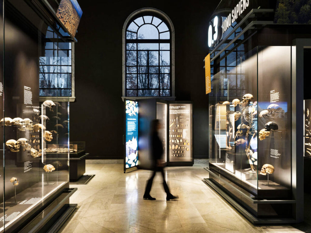 A woman looking at the skull display of Homo sapiens in the cabinet at the Milan Natural History Museum