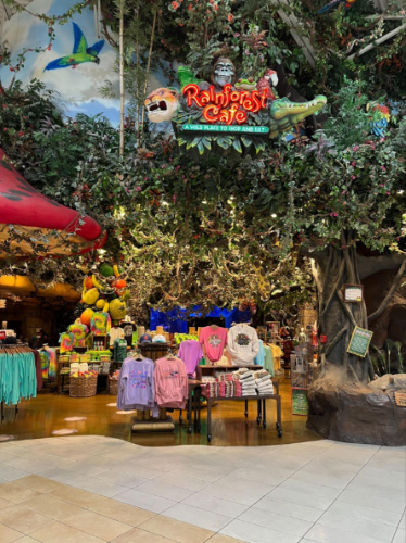 Product displays at the Rainforest Cafe at Opry Mills Mall