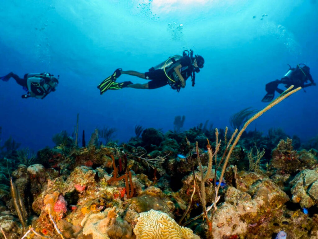 View of the divers on the reefs in Culebra