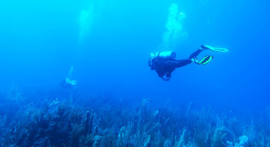 View of scuba divers under the sea