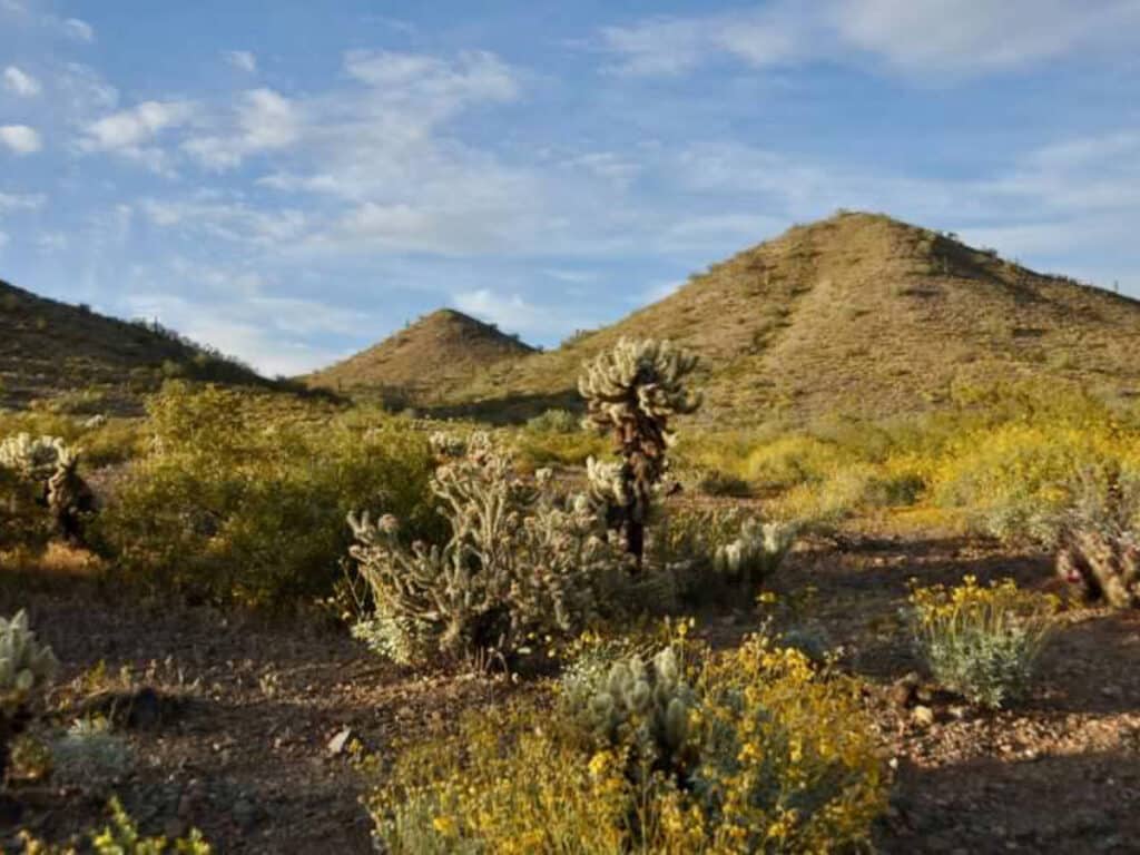 View during a hike in Dixie Mountain Loop