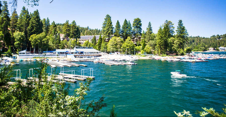 View of the lush green trees and docked boats at the Lake Arrowhead