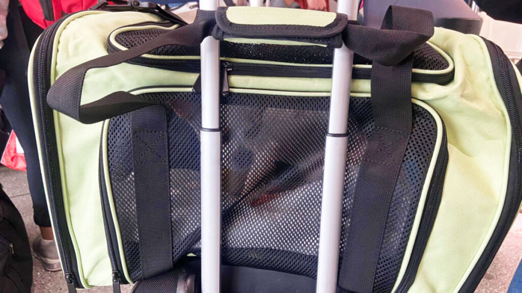 A dog inside the carrier placed on top of the luggage at the airport