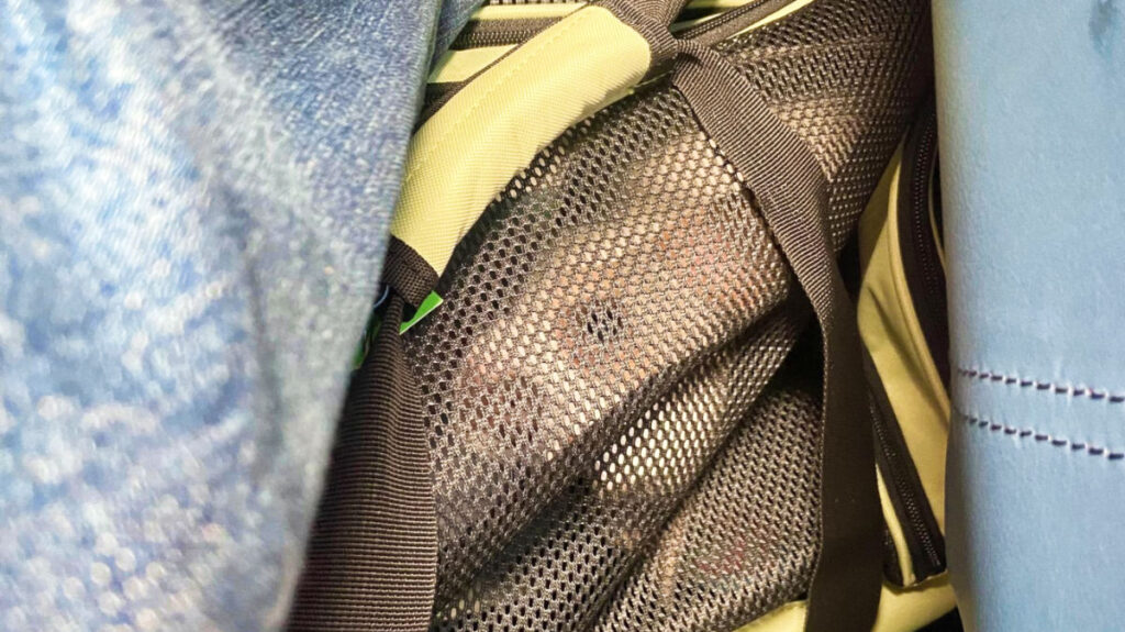 A dog inside the carrier bag placed under the seat in the plane