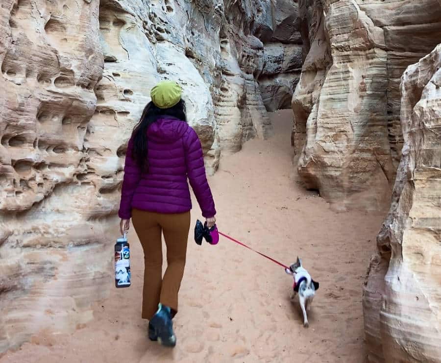 View of a woman's back and a dog hiking