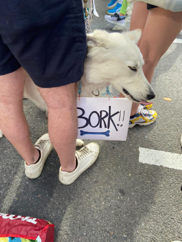 A Dog at the NYC Marathon
