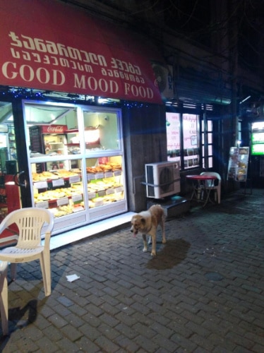 A dog wandering on a street in Tbilisi