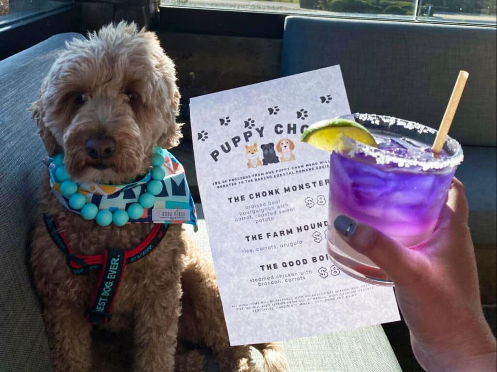 A glass of drink with the author's dog at Chandler’s