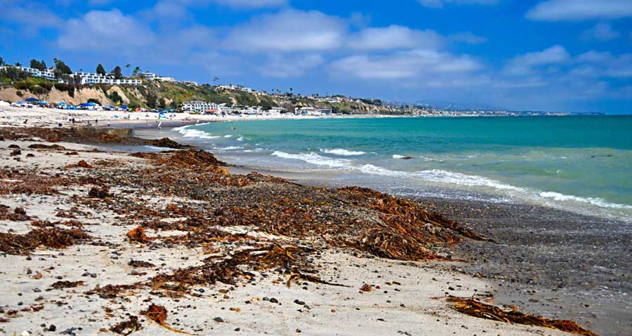 The Doheny State Beach under the clear blue sky