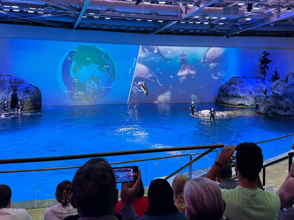 View while watching a dolphin show at the Shedd Aquarium