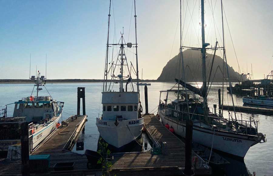 View of boats at the harbor from the Dorn’s Original Breakers Cafe