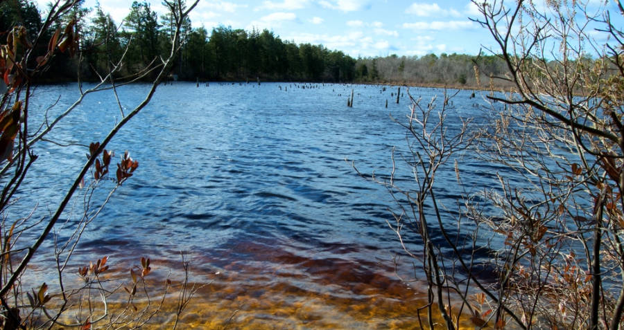 View of the Cedar Creek at the Double Trouble State Park