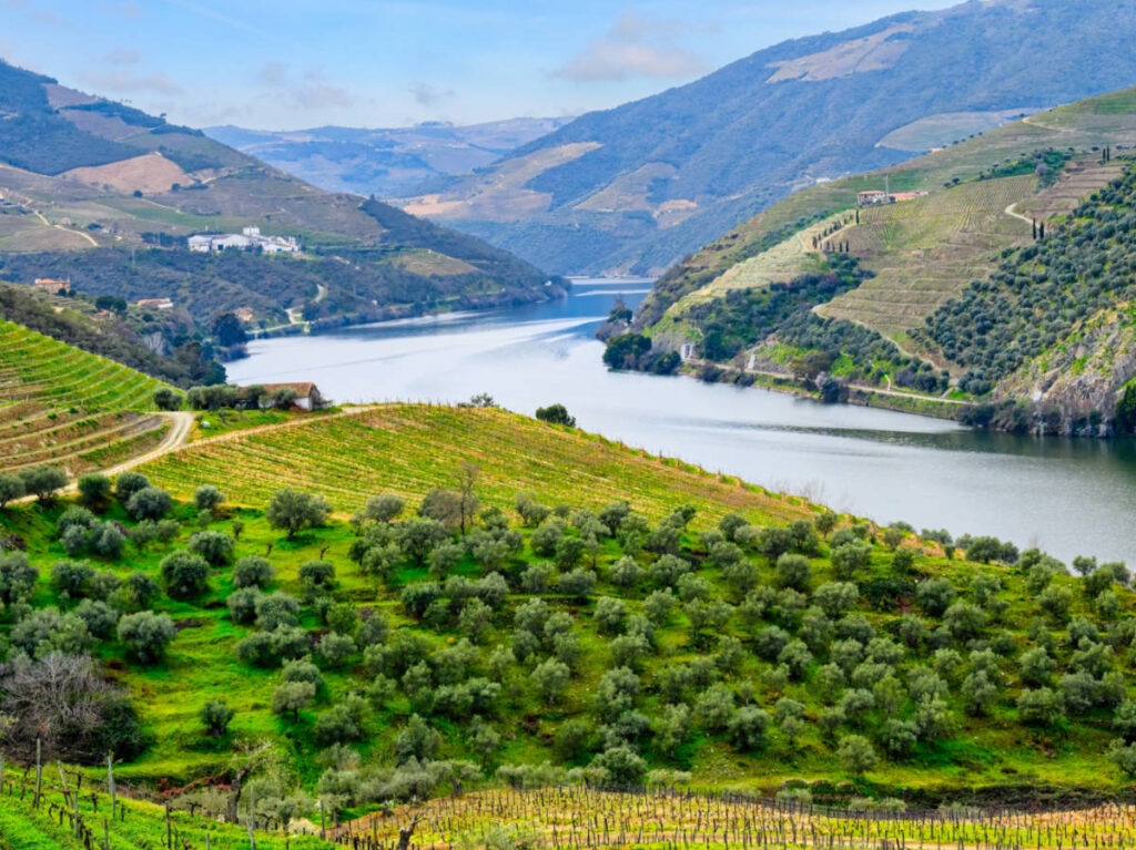 Views over Douro River and Valley
