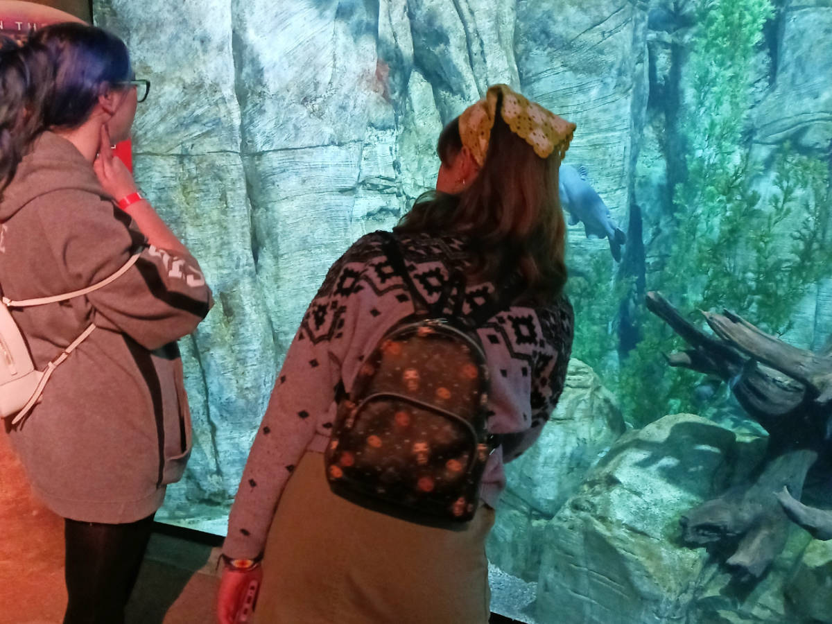 People looking at one of many tanks in the Denver's Downtown Aquarium
