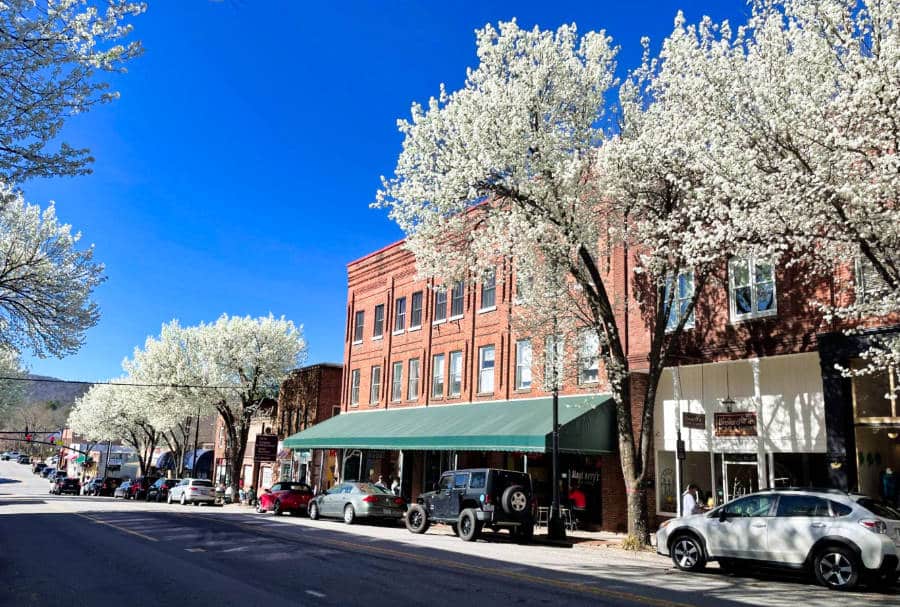 View of the buildings and the beautiful trees in Downtown Brevard during Spring season