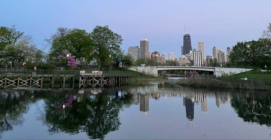 View of buildings at downtown Chicago after sunset