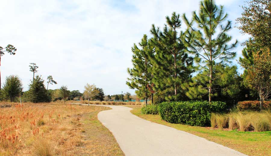 View of a walking trail in Dr. P. Phillips Community Park