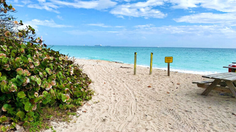 View of a pathway to Dania Beach in Dr. Von D. Mizell-Eula Johnson State Park