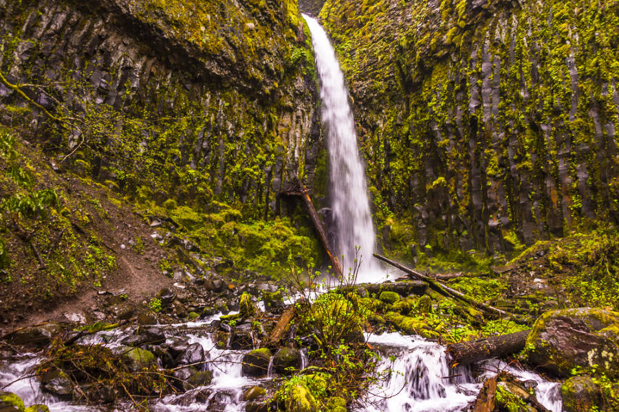 View of the magnificent Dry Creek Falls surrounded by moss