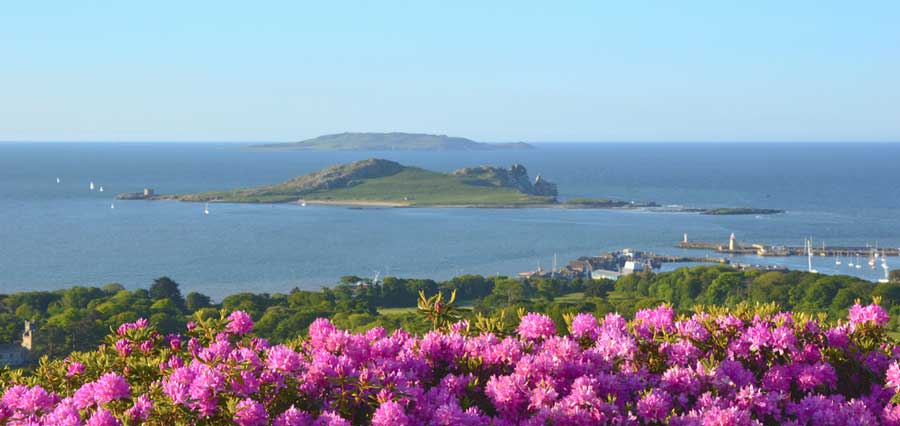 Scenic view at the Dublin Bay under the clear blue sky