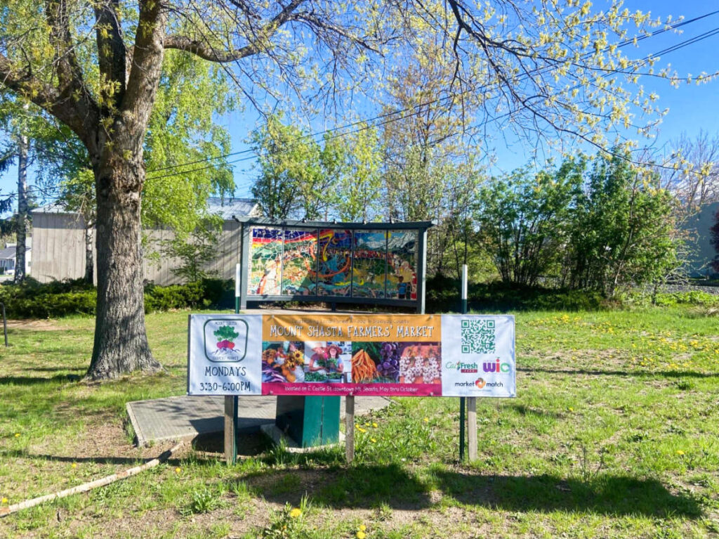 View of the banners of the farmers market in Mount Shasta