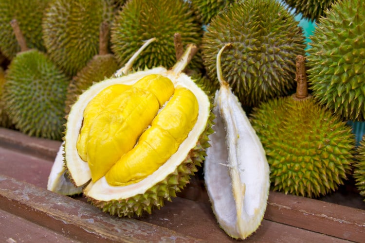 Durian (1) Durian fruit