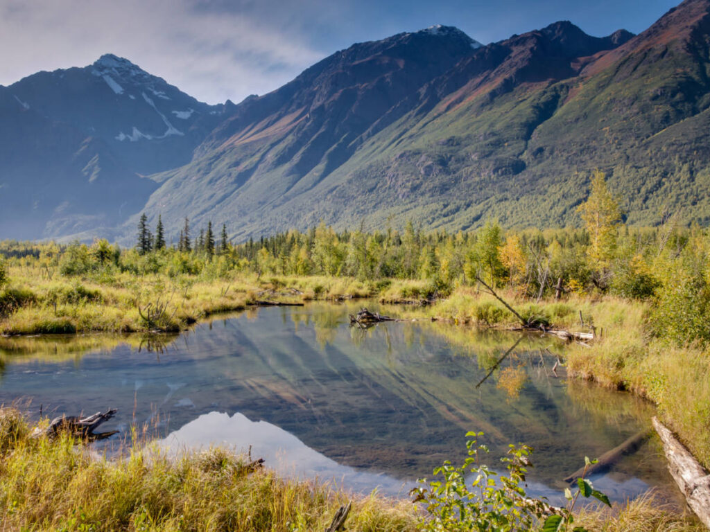 View at the Eagle River Nature Center during morning
