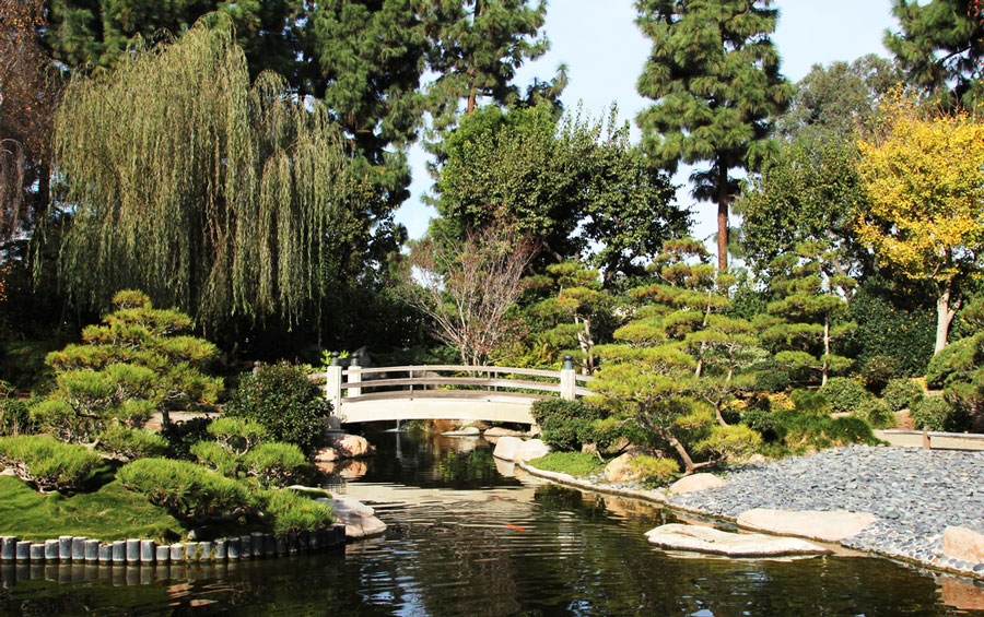 Scenic view from the Earl Burns Miller Japanese Garden with a small bridge