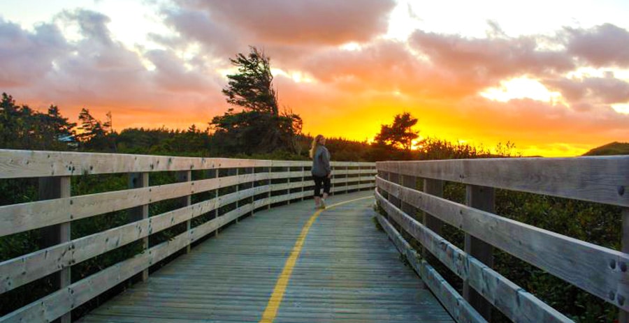 View of the author walking on a boardwalk during sunset