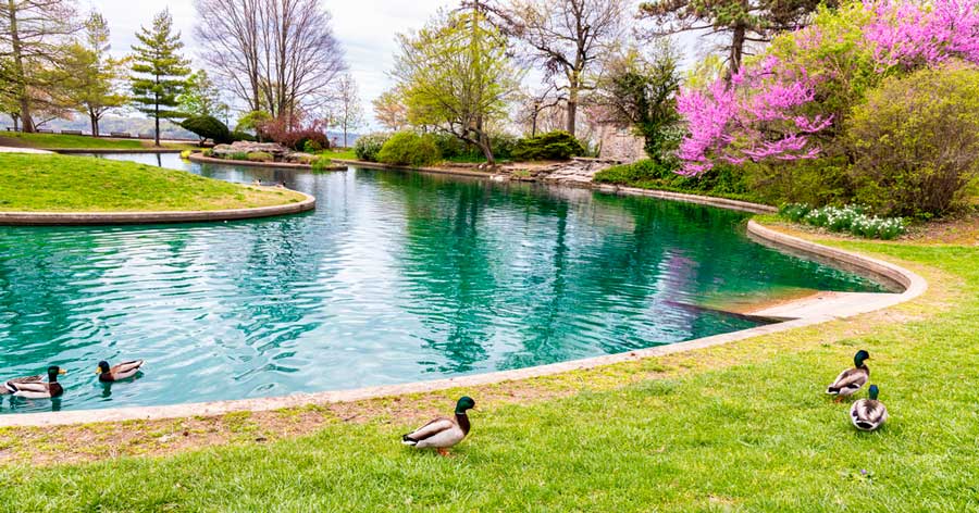 View of ducks and flowers at the Eden Park during spring season