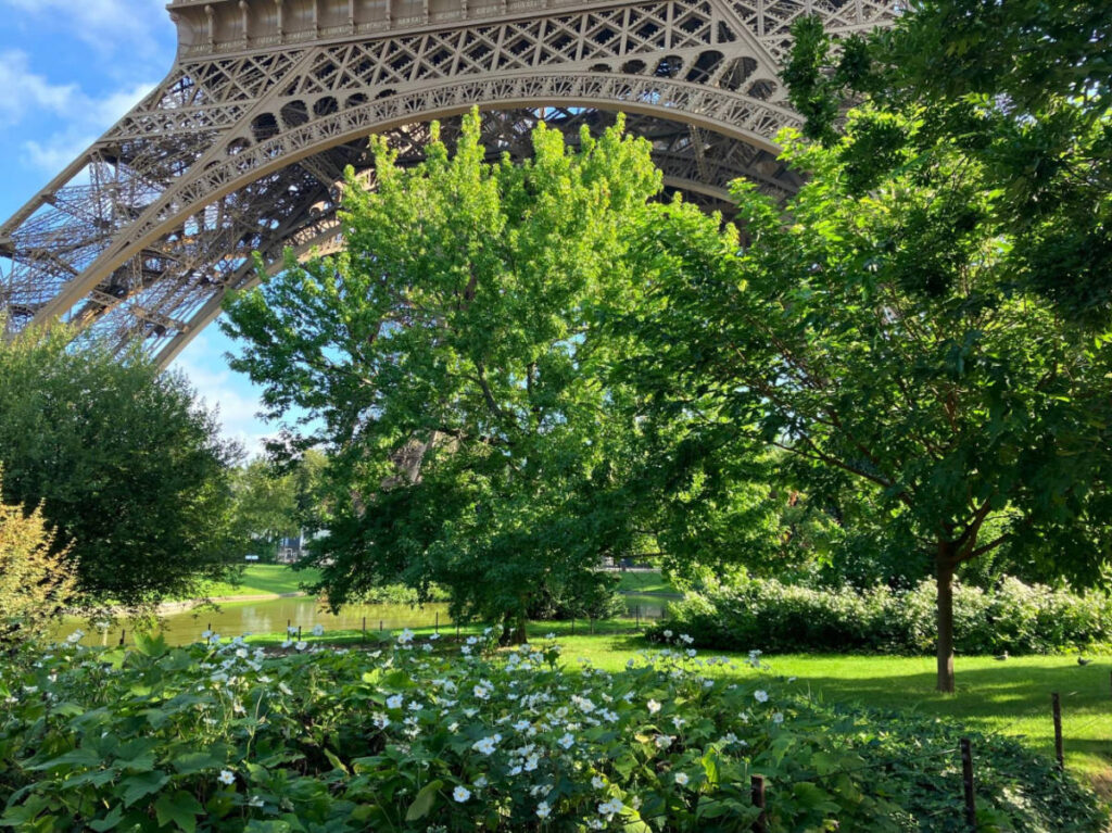 The Eiffel Tower's surroundings during summer seaon