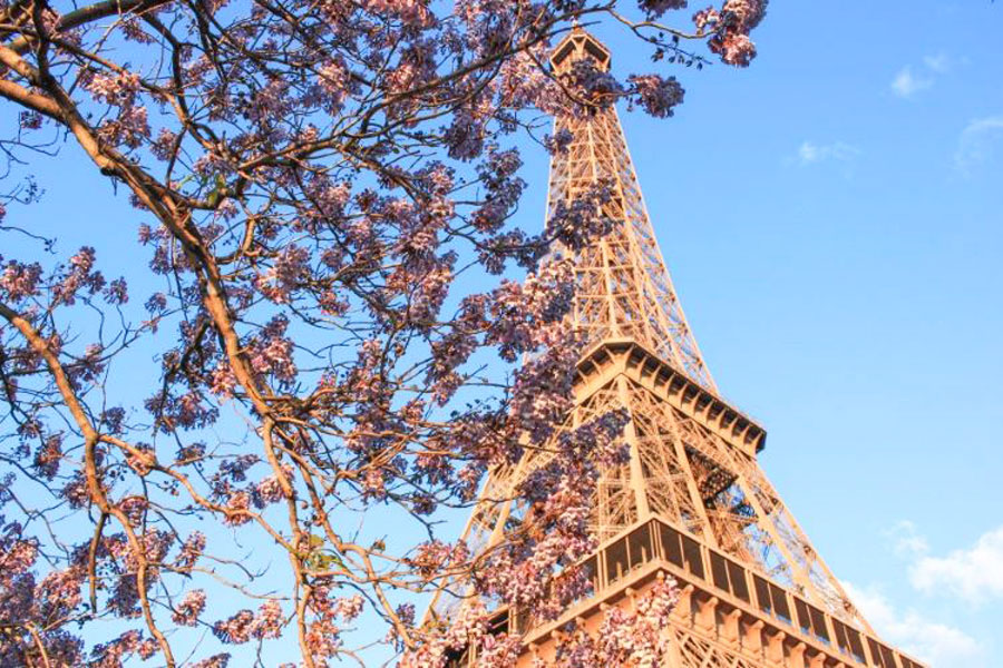 View of the Eiffel Tower in the morning from below