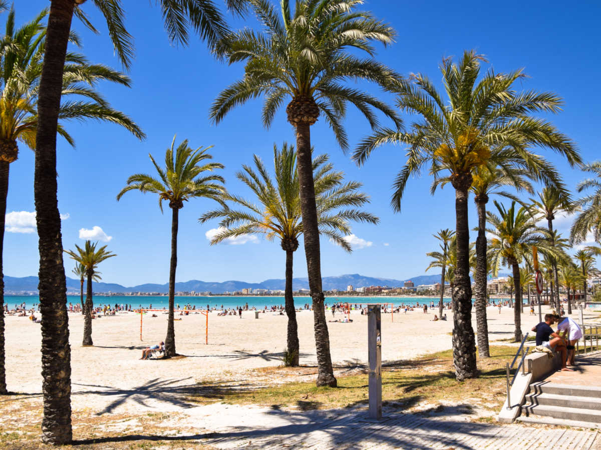 Scenic view of the S'Arenal beach with palm trees and people along the shoreline.