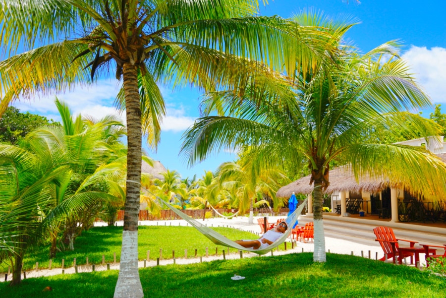 View from the outside of El Paraiso Hotel with palm trees and grass field