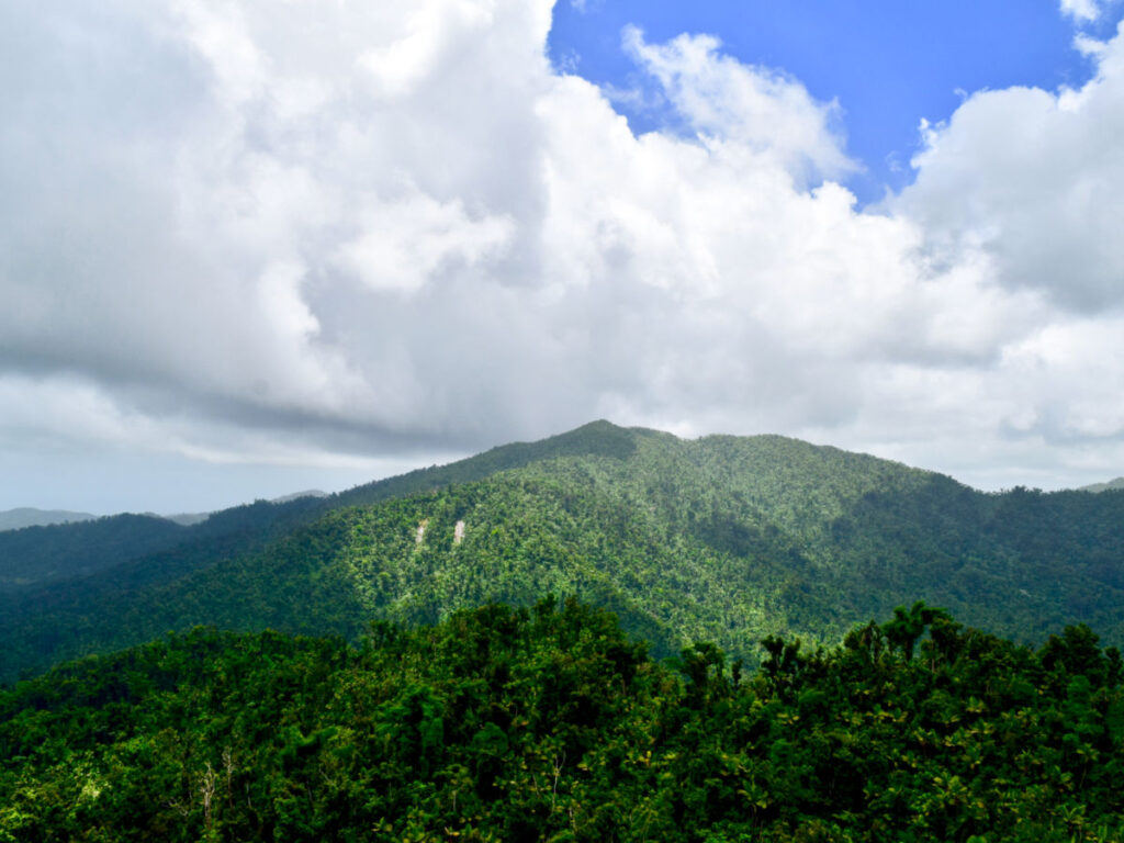 View of the lush rainforest of El Yunque National Forest