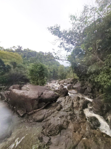 View of the rocky trail in El Yunque