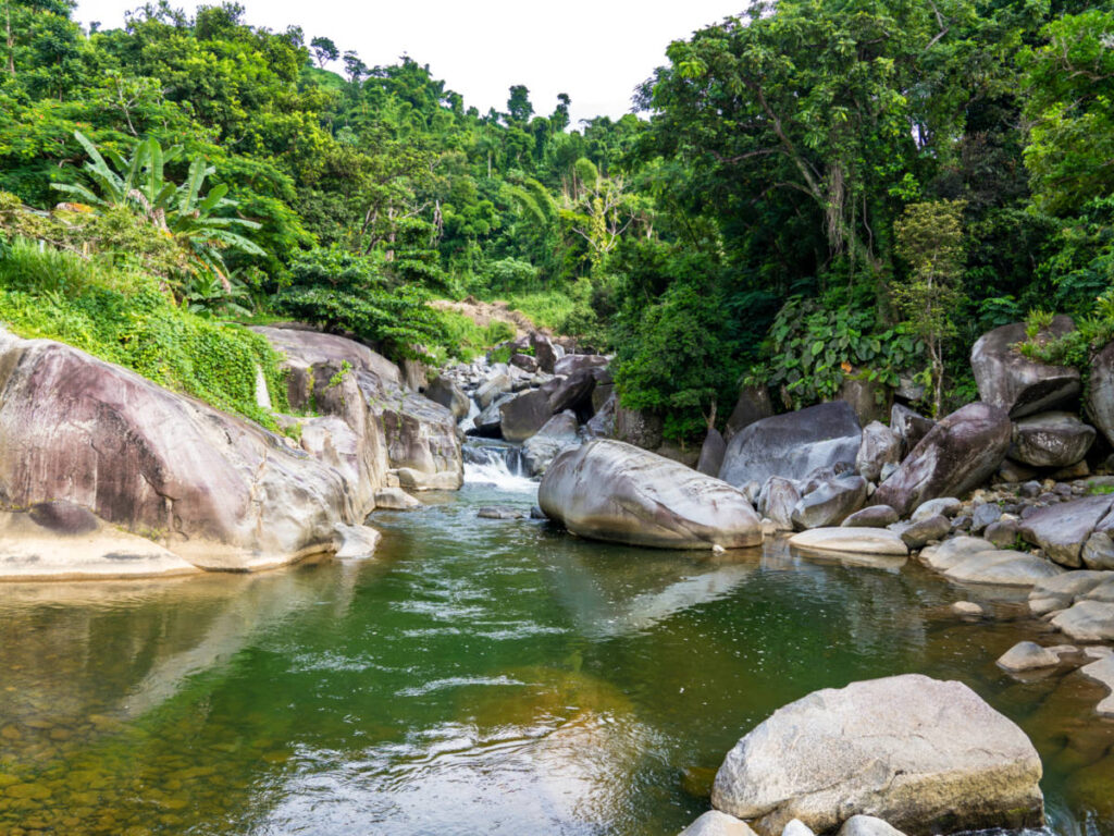 View of the small waterfalls surrounded by greenery in El Yunque Rainforest